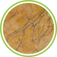 brown rainforest marble