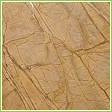 brown rainforest marble