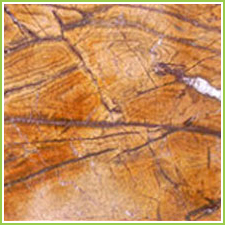 brown rainforest marble