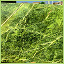 indian green marble