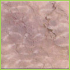 marble floor tile