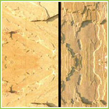 sandstone